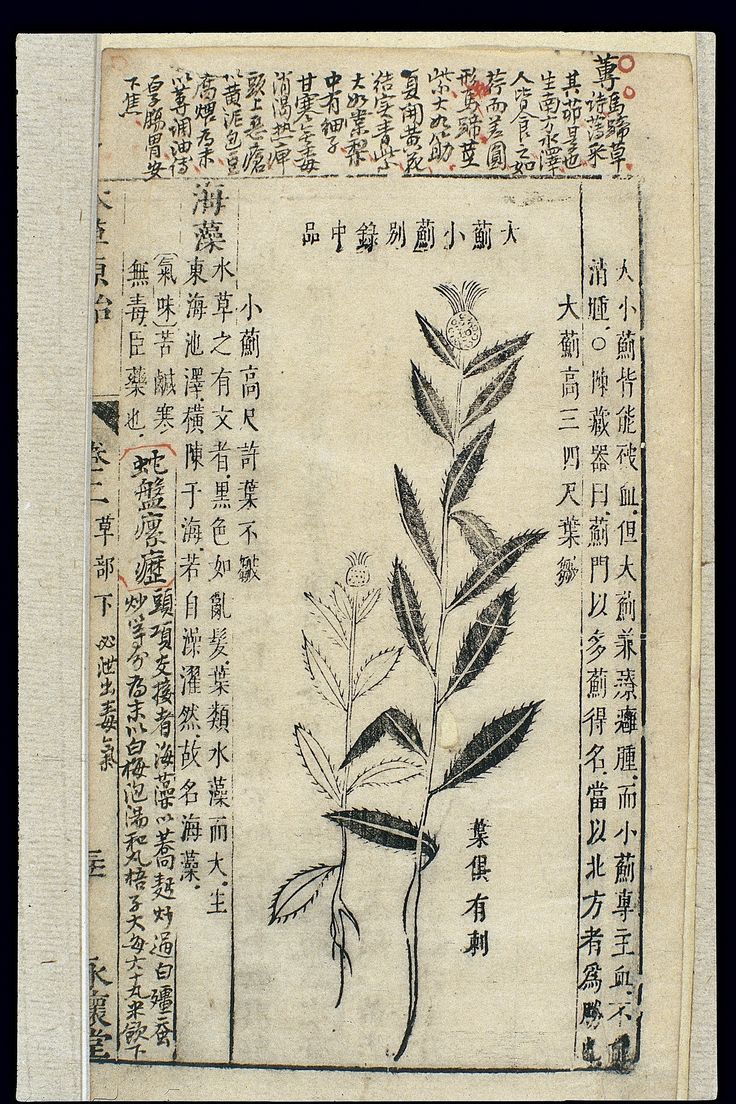 Een eeuwenoude methode, opnieuw uitgevonden